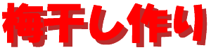 umeboshi_dukuri-logo.gif (3062 oCg)